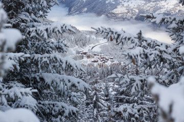 latania-montagne