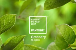 greenery-pantone 2017