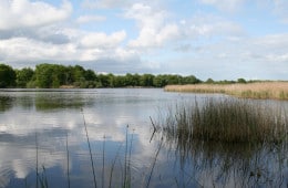 brenne-etang