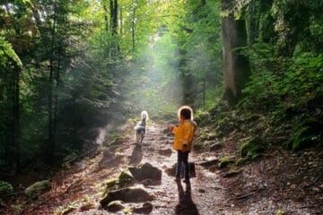 la relation chien et enfant